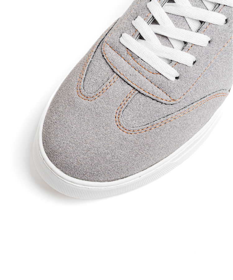 Cosmos One – Gris