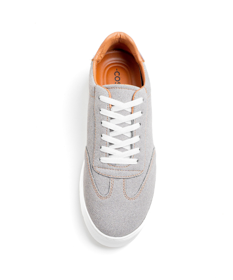 Cosmos One – Gris
