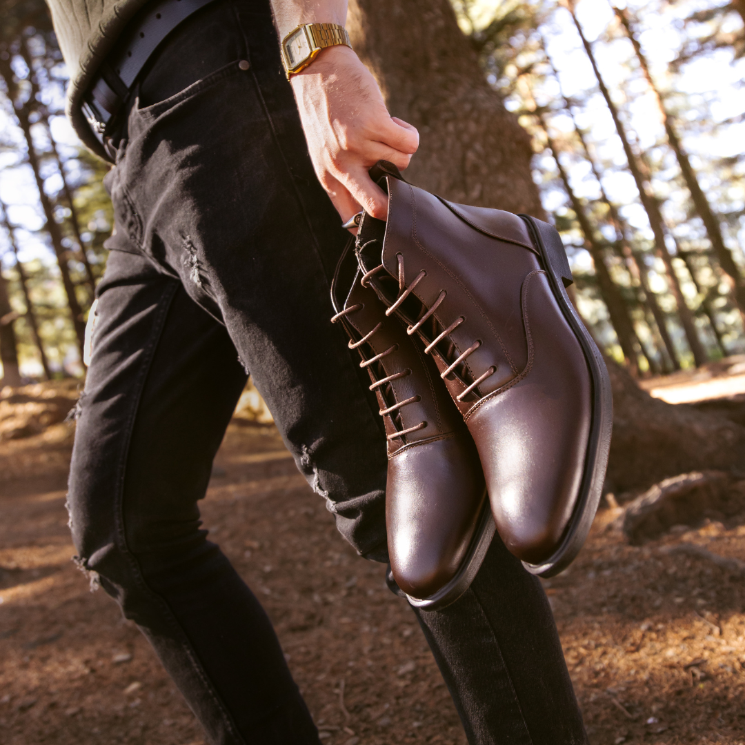 Image of Hiver 2026 - Cosmos-Algerie