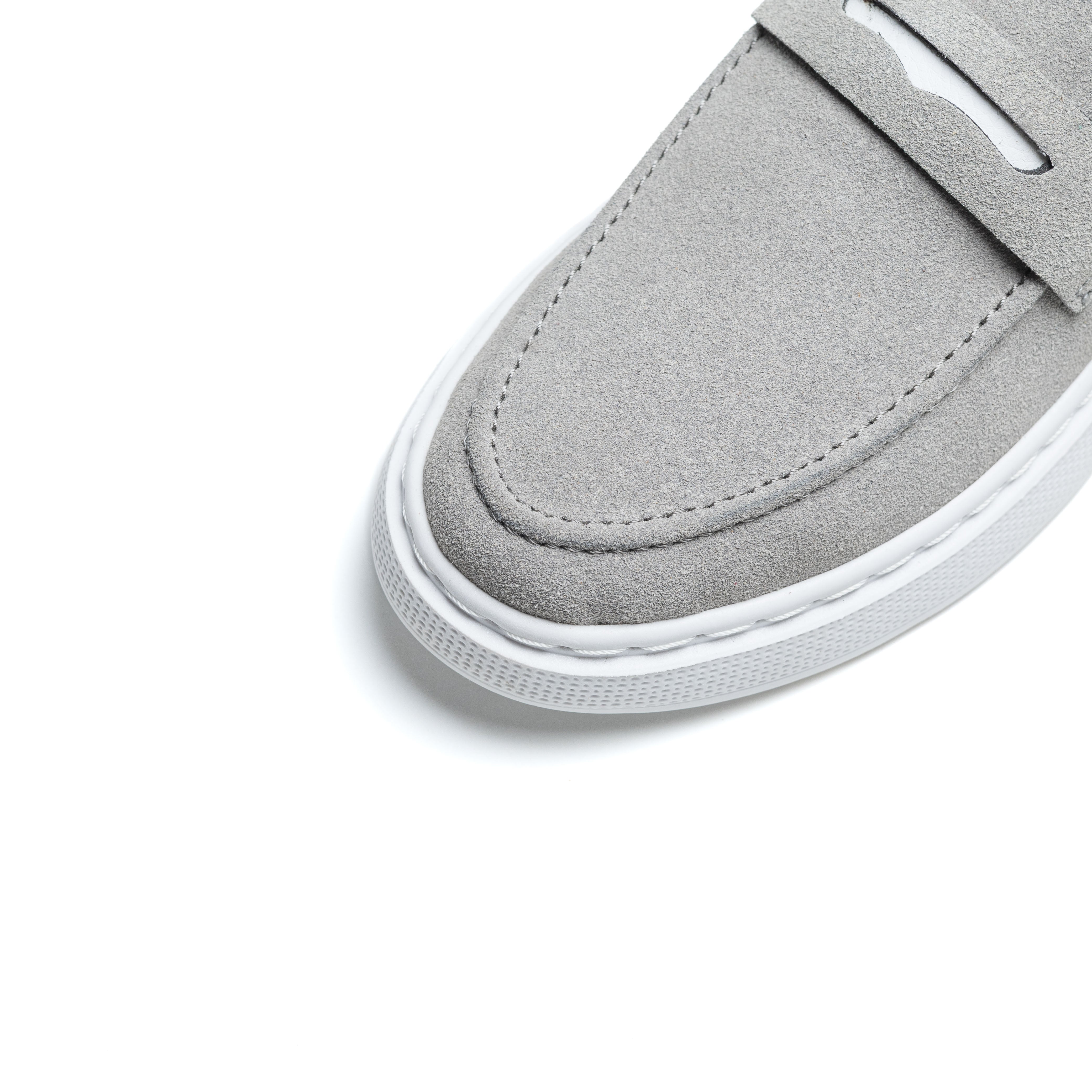 Image of Cosmos Canva Gris