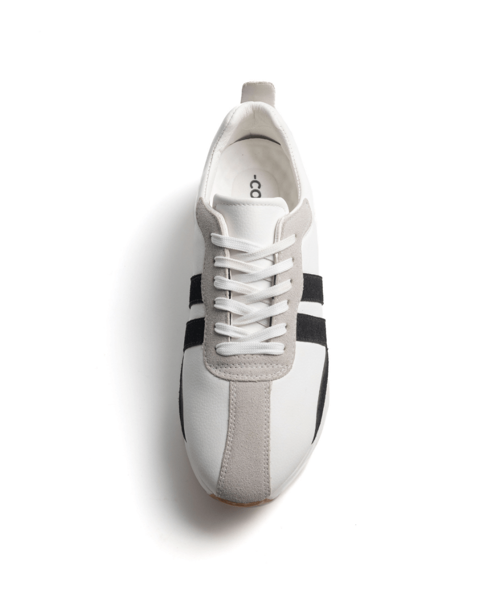 Image of COSMOS 120° – Édition Impulsion - Cosmos - Algerie