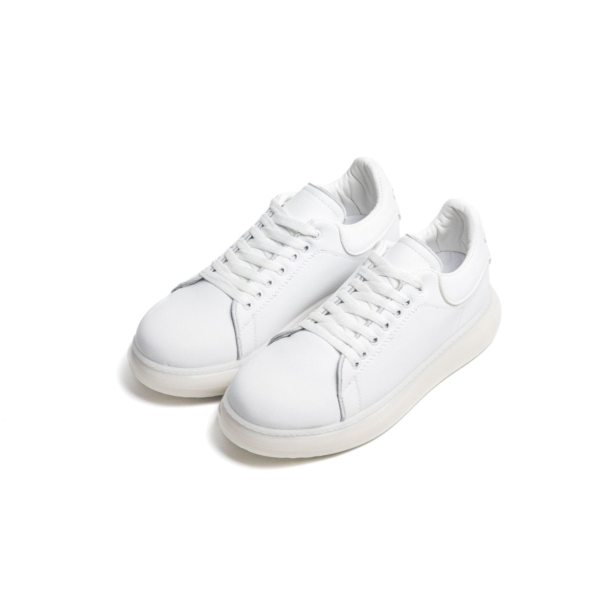 Image of Cosmos 26 - Blanc - Cosmos - Algerie