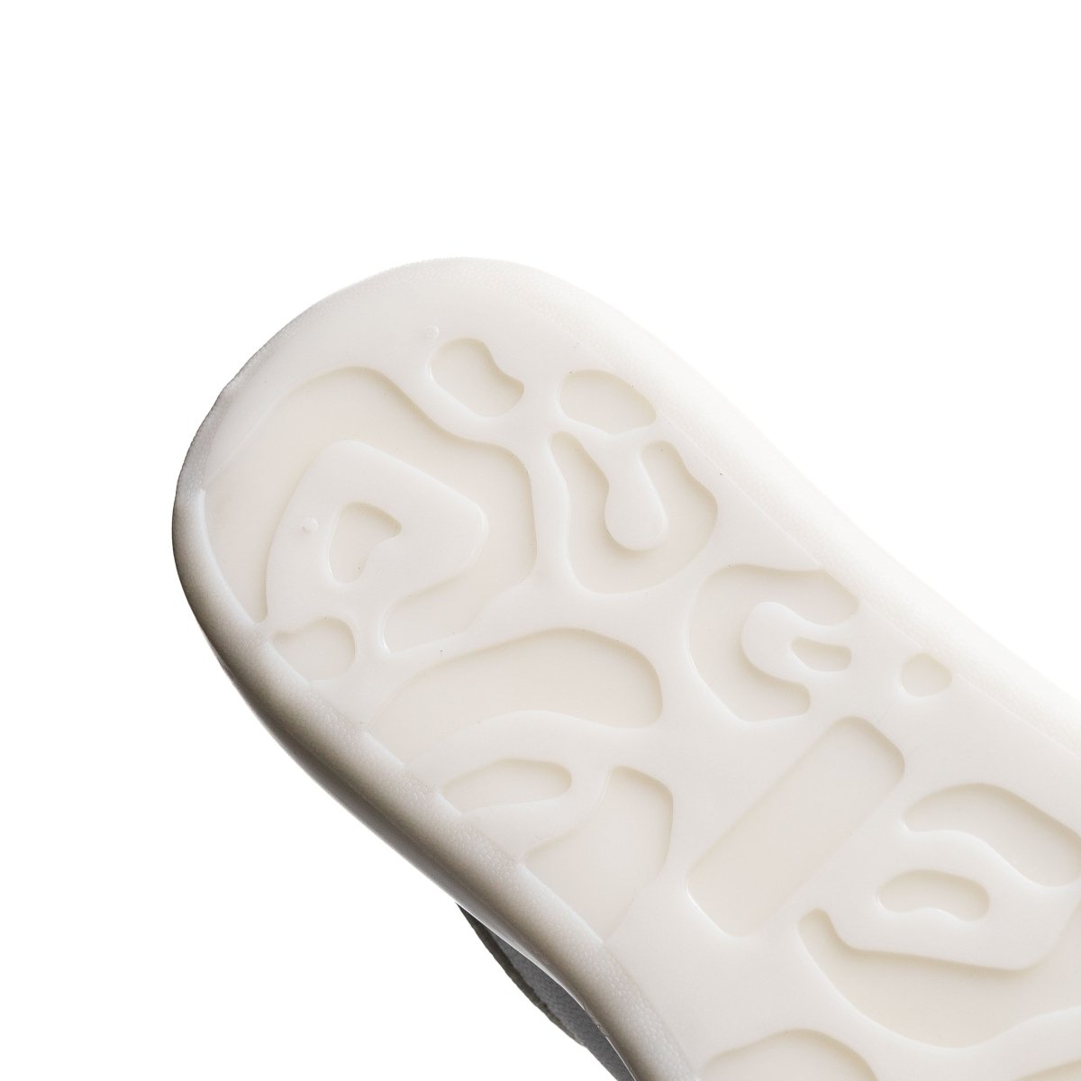 Cosmos 26 - Blanc - Cosmos - Algerie