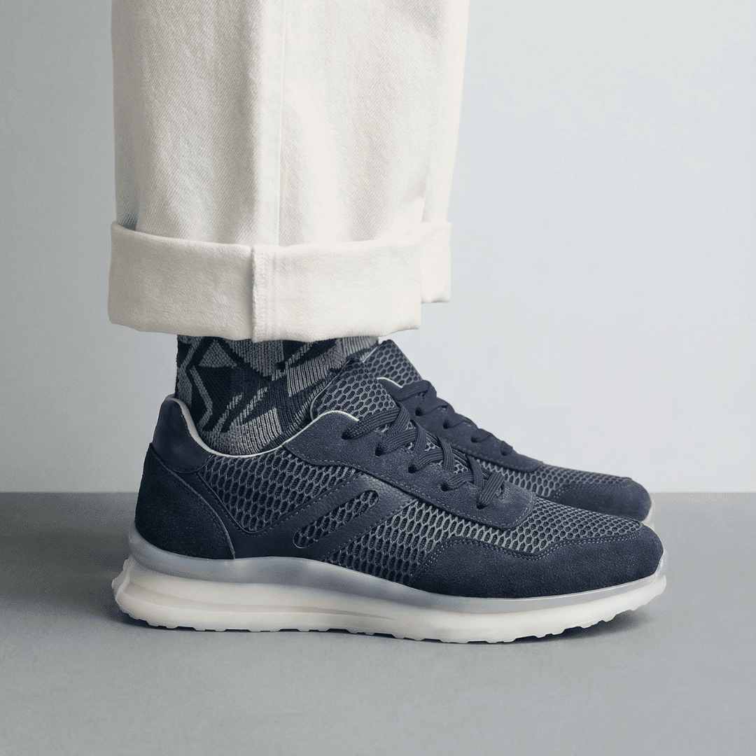 Cosmos 26 - Bleu - Cosmos - Algerie