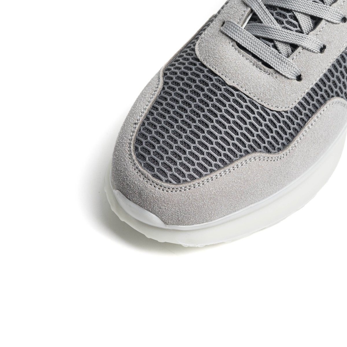 Cosmos 26 - Gris - Cosmos - Algerie