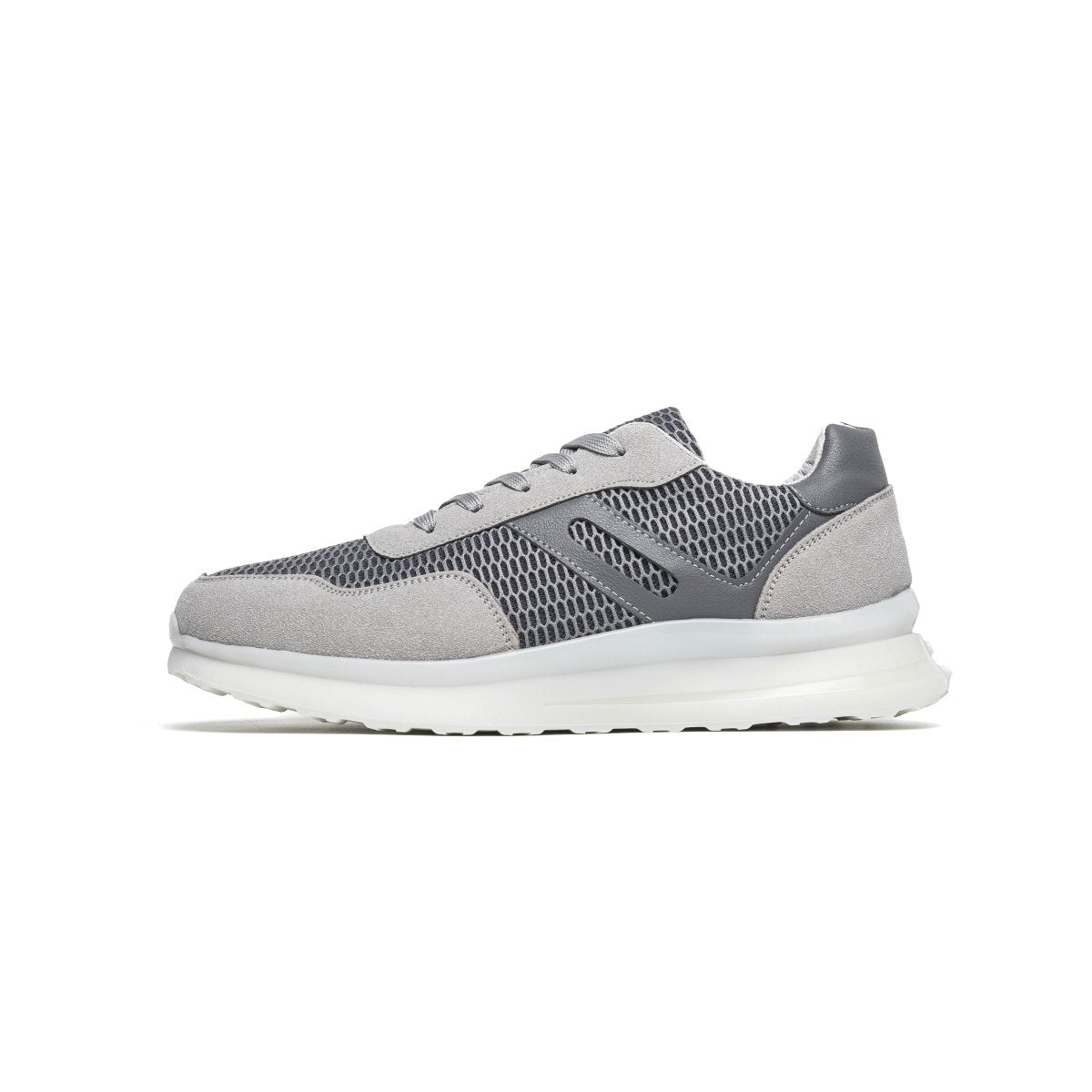 Image of Cosmos 26 - Gris - Cosmos - Algerie