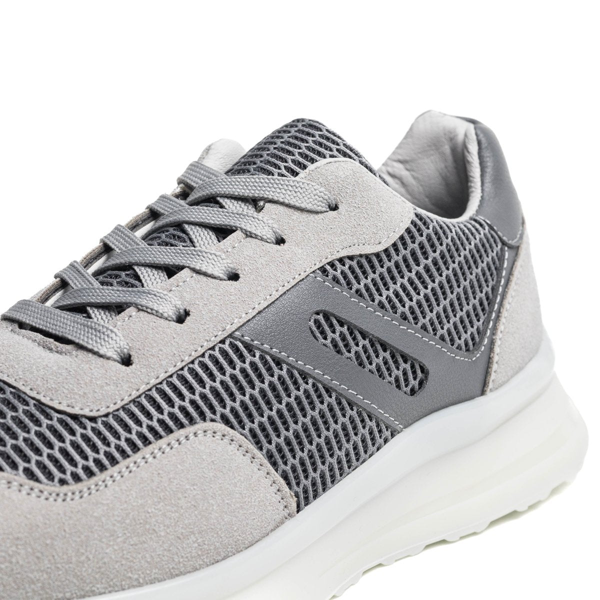 Image of Cosmos 26 - Gris - Cosmos - Algerie