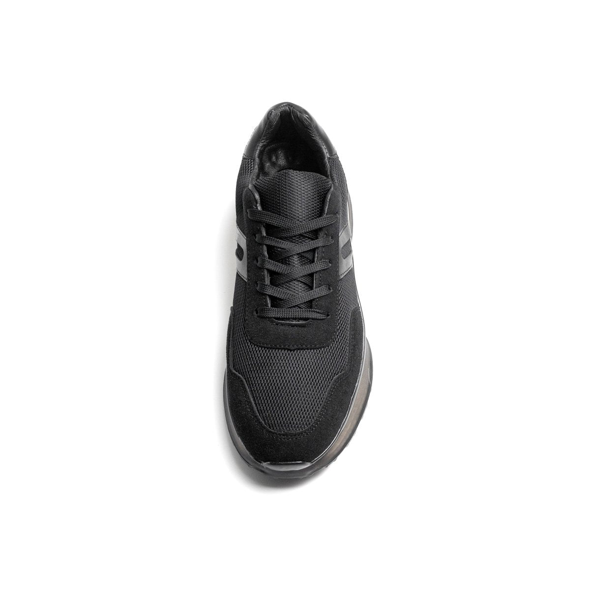 Cosmos 26 - Noir - Cosmos - Algerie