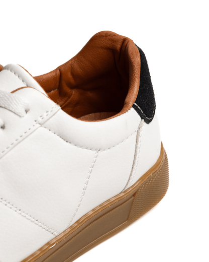 Cosmos 70° — Édition Équilibre - Cosmos - Algerie