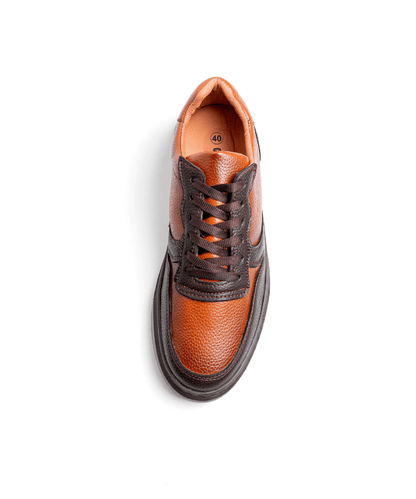 Cosmos Bruno - Cosmos - Algerie