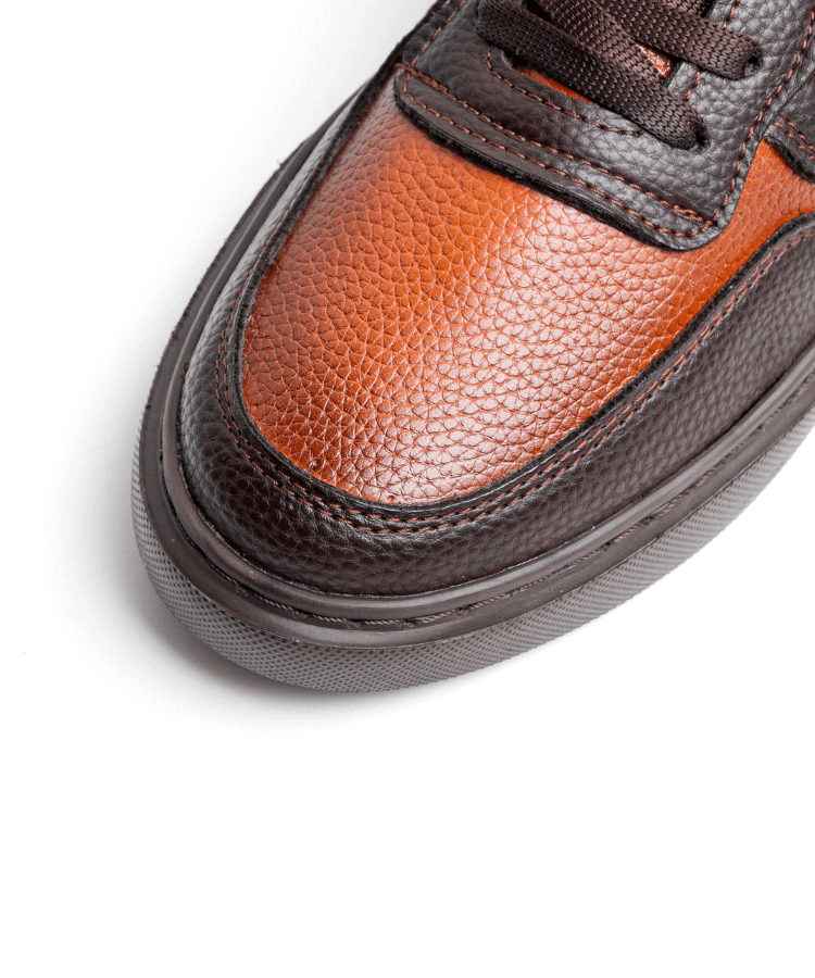 Cosmos Bruno - Cosmos - Algerie