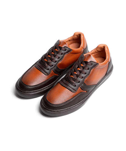 Cosmos Bruno - Cosmos - Algerie