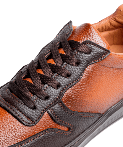 Cosmos Bruno - Cosmos - Algerie