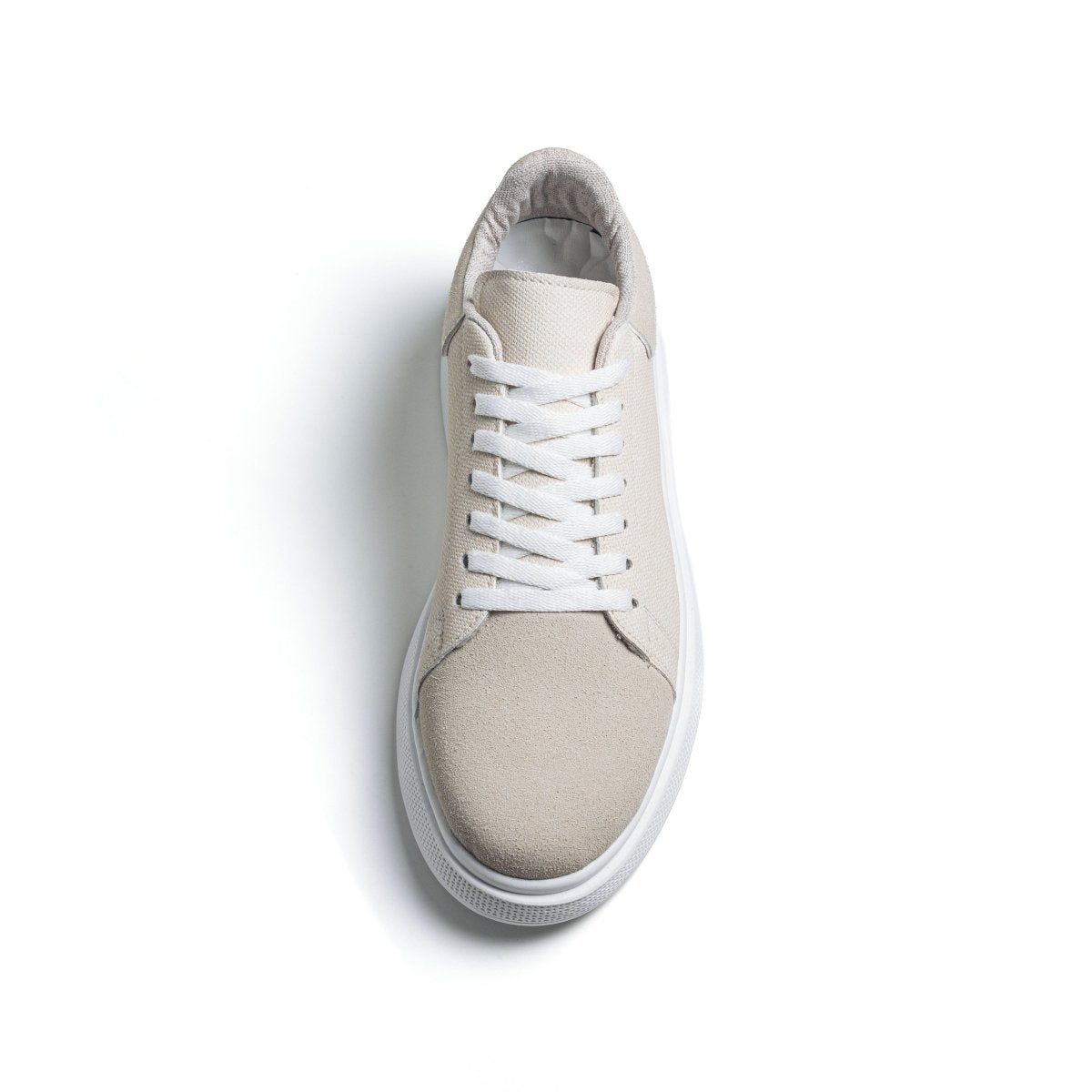 Image of Cosmos Eon - Beige - Cosmos - Algerie