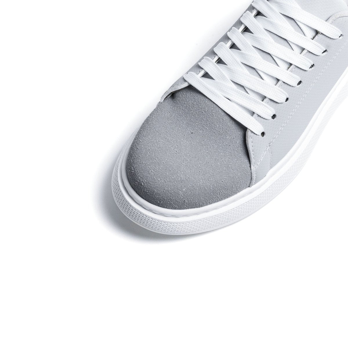 Image of Cosmos Eon - Gris - Cosmos - Algerie