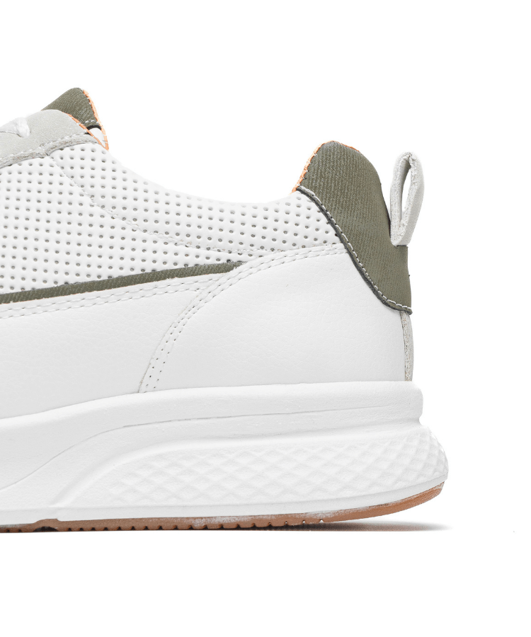 Image of Cosmos Florence - Cosmos - Algerie