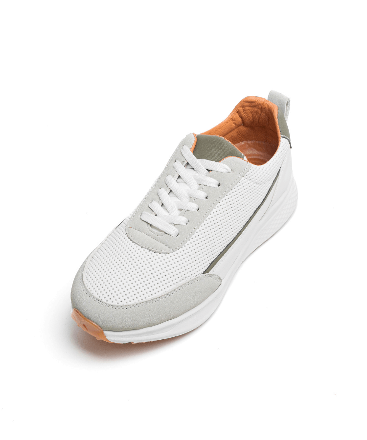 Image of Cosmos Florence - Cosmos - Algerie