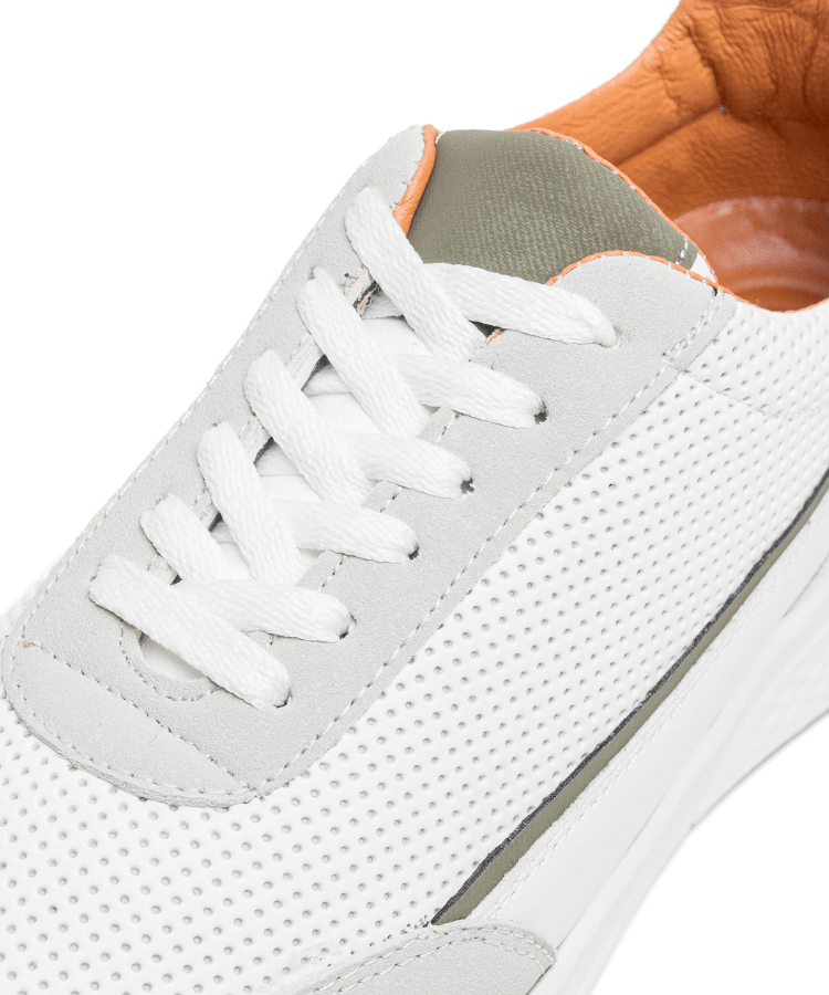 Image of Cosmos Florence - Cosmos - Algerie