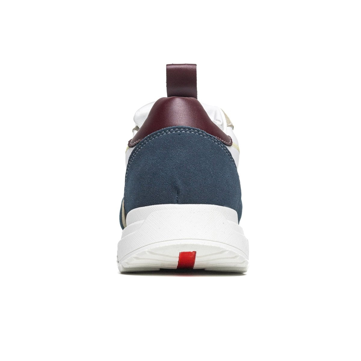 Cosmos Hybride - Bleu - Cosmos - Algerie