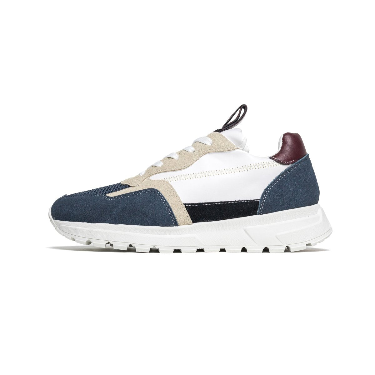 Cosmos Hybride - Bleu - Cosmos - Algerie