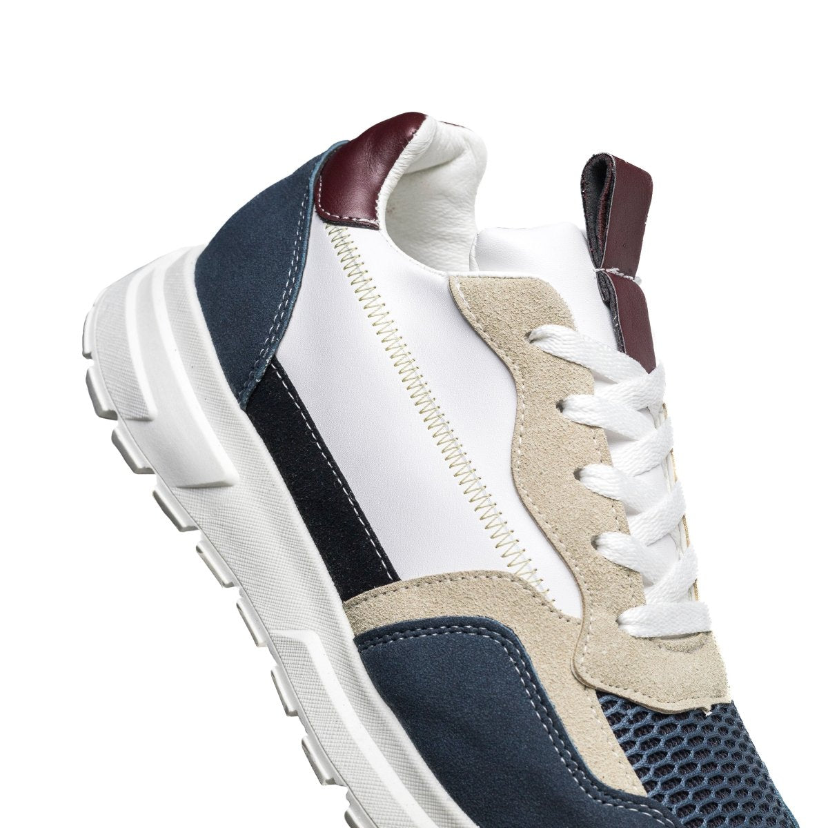 Cosmos Hybride - Bleu - Cosmos - Algerie