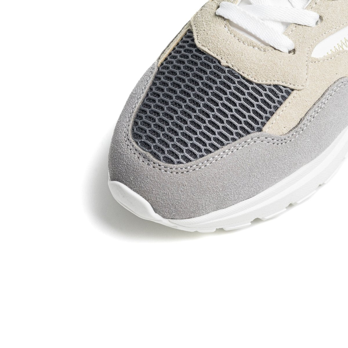 Cosmos Hybride - Gris - Cosmos - Algerie