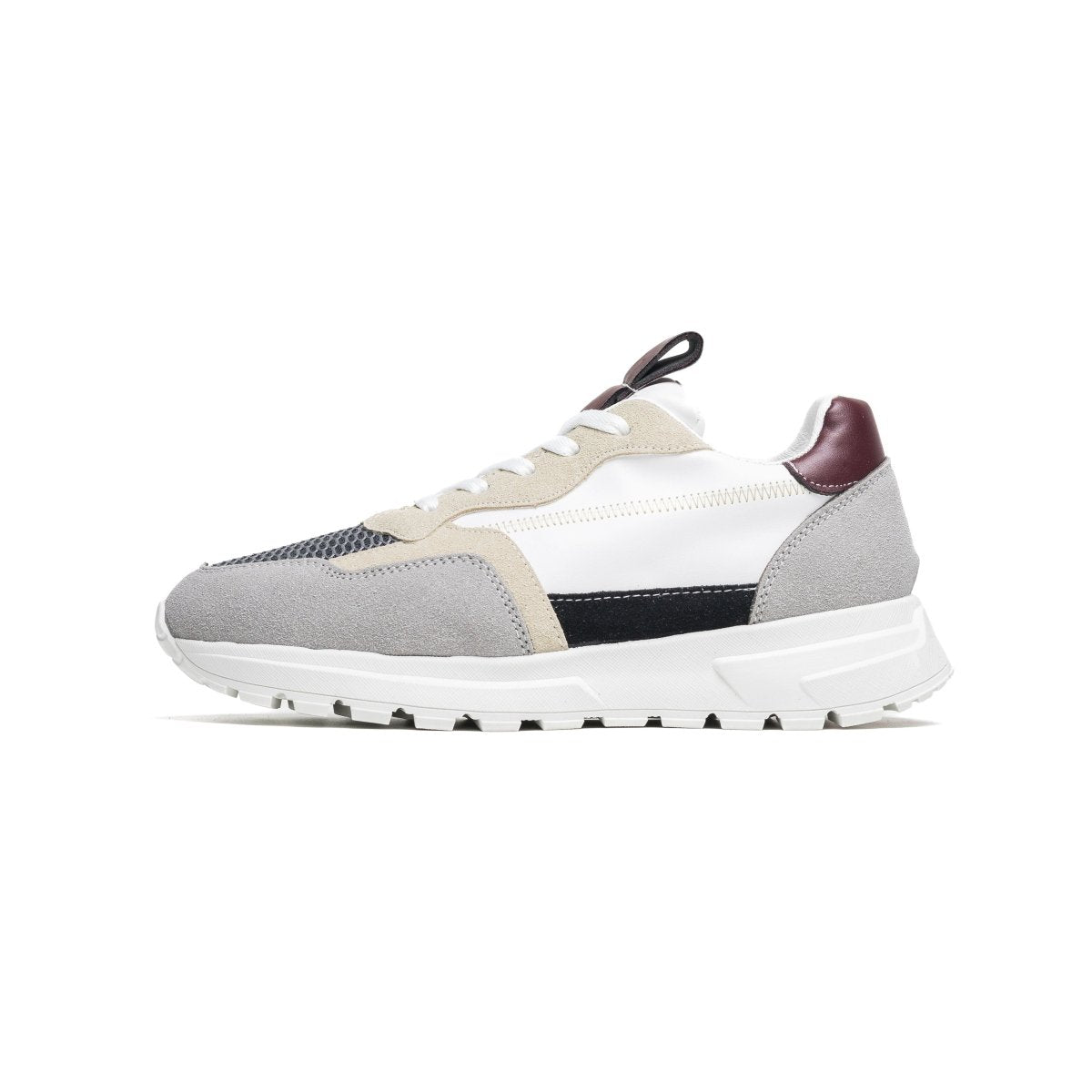 Cosmos Hybride - Gris - Cosmos - Algerie