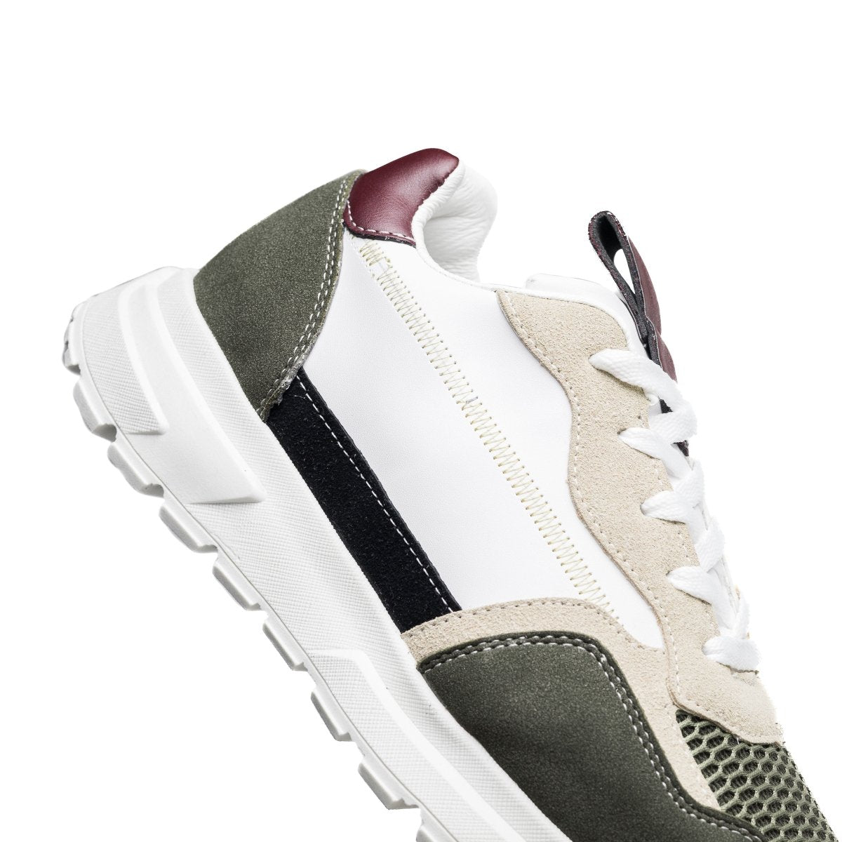 Cosmos Hybride - Vert - Cosmos - Algerie