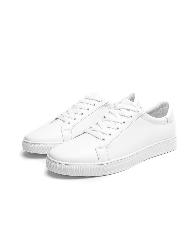 Image of كوزموس نادال - الأبيض - كوزموس - الجزائر