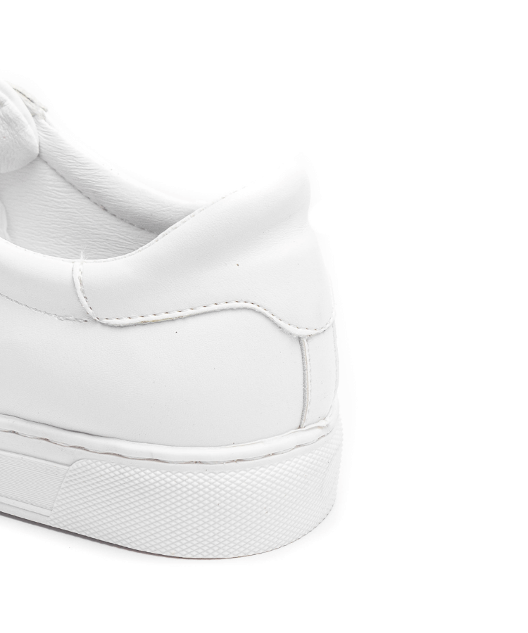 Image of كوزموس نادال - الأبيض - كوزموس - الجزائر