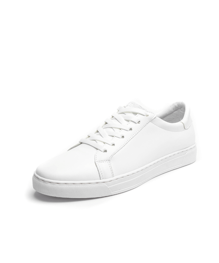 Image of كوزموس نادال - الأبيض - كوزموس - الجزائر