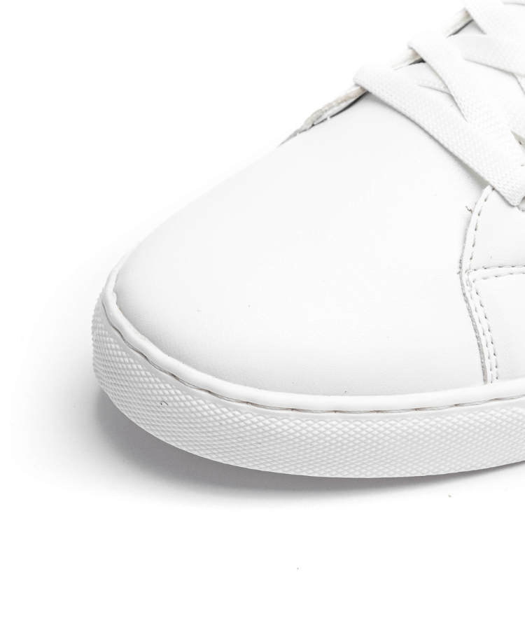 Image of كوزموس نادال - الأبيض - كوزموس - الجزائر