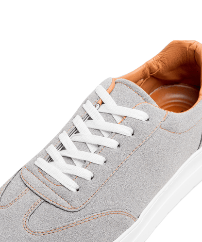 Cosmos One – Gris - Cosmos - Algerie