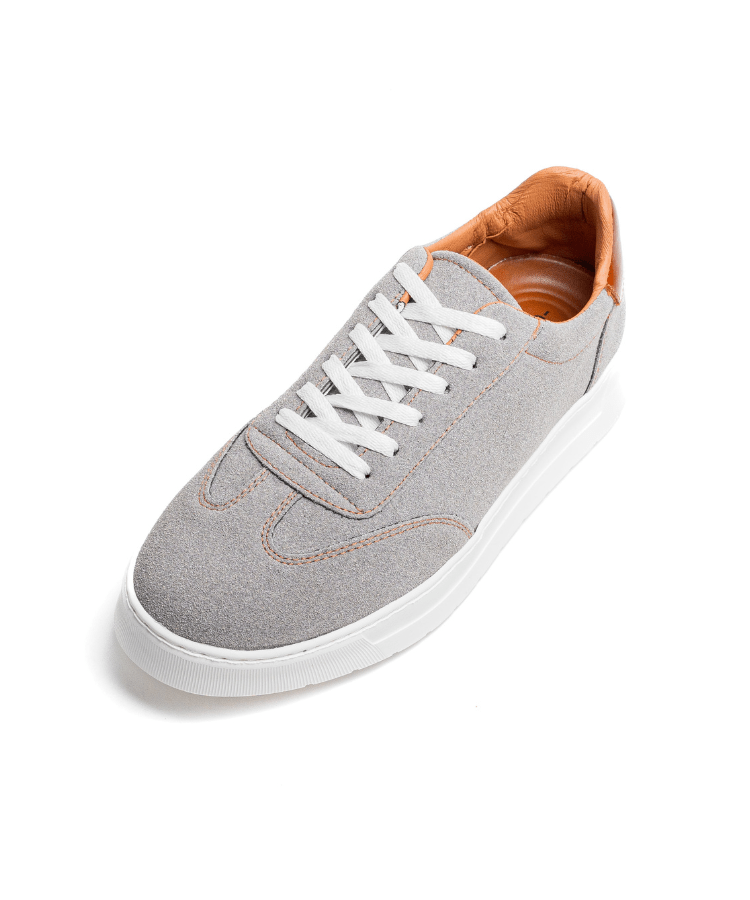 Cosmos One – Gris - Cosmos - Algerie