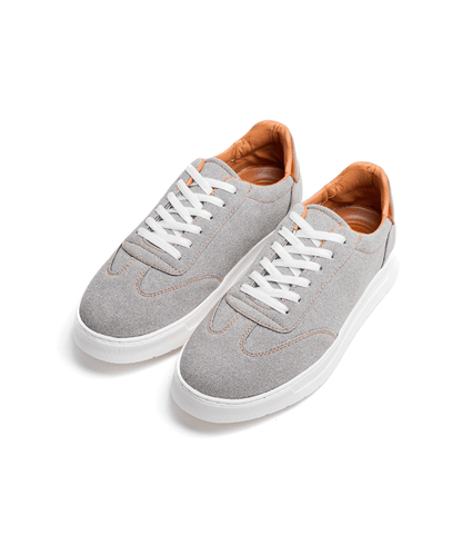 Cosmos One – Gris - Cosmos - Algerie