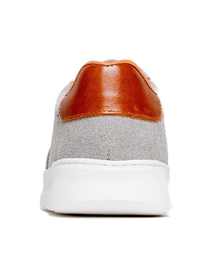 Cosmos One – Gris - Cosmos - Algerie