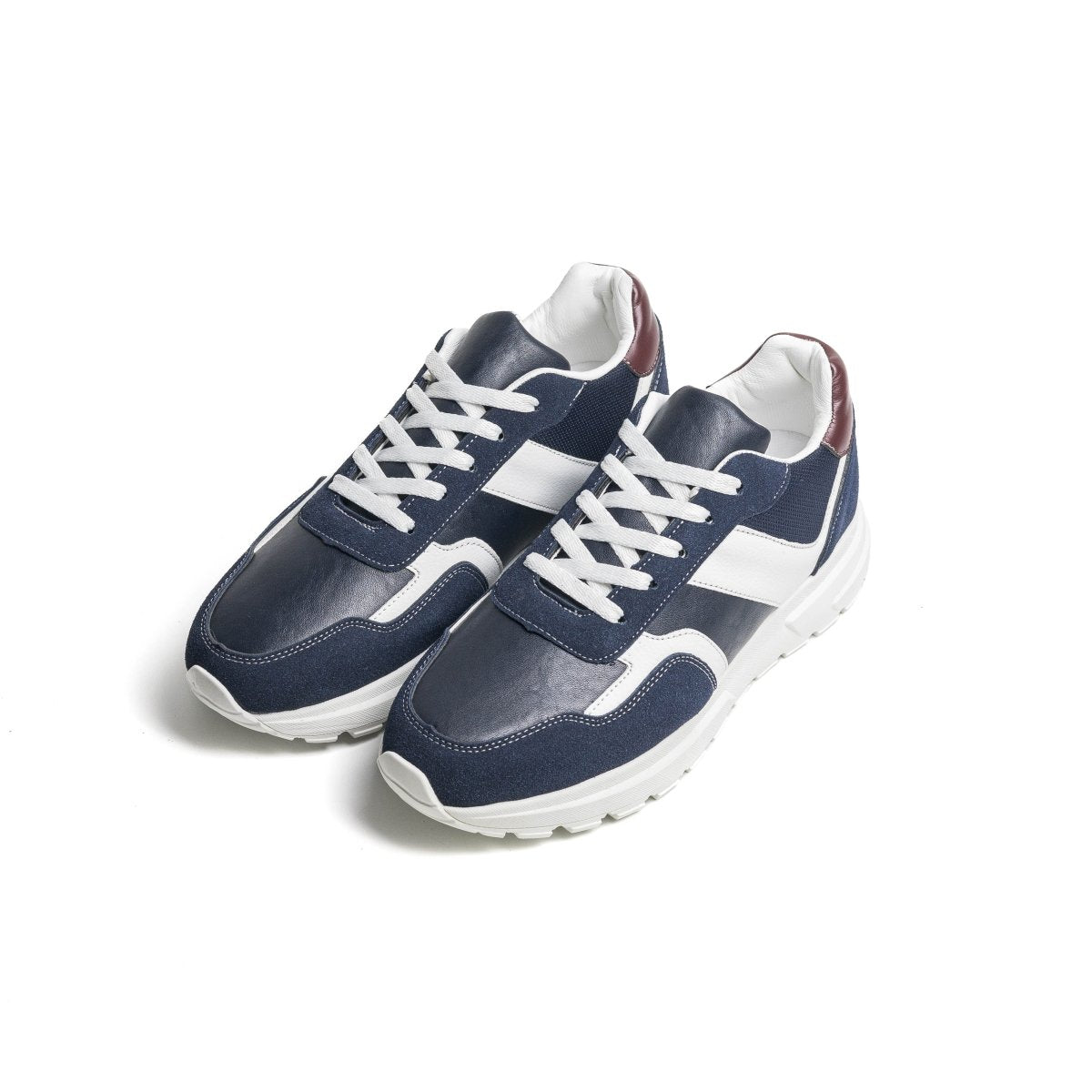 Cosmos Prime - Bleu - Cosmos - Algerie