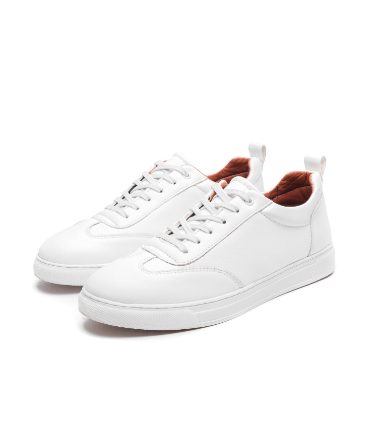 Image of Cosmos Vintage - Cosmos - Algerie