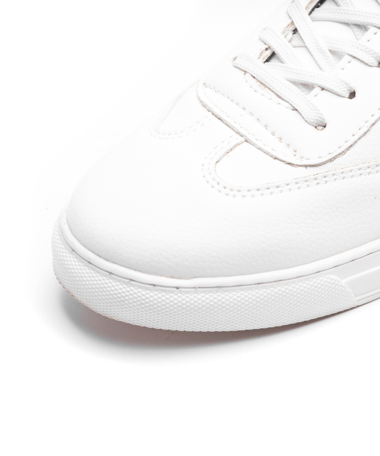 Image of Cosmos Vintage - Cosmos - Algerie