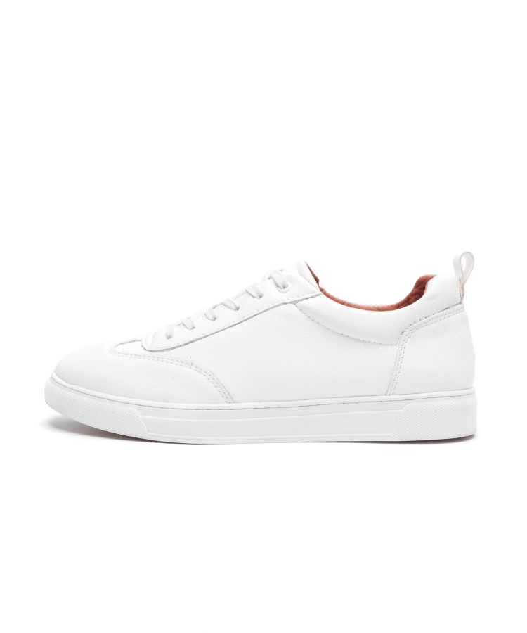 Image of Cosmos Vintage - Cosmos - Algerie