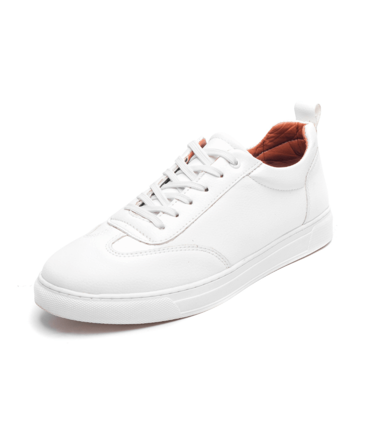 Image of Cosmos Vintage - Cosmos - Algerie